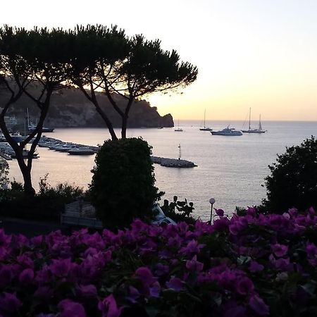 Giardino Mediterraneo Lacco Ameno  Luaran gambar