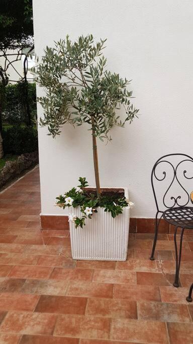 Giardino Mediterraneo Lacco Ameno  Luaran gambar