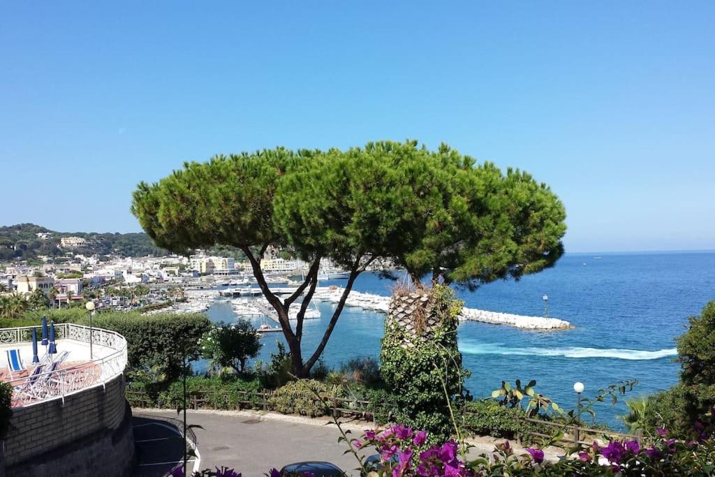Giardino Mediterraneo Lacco Ameno  Luaran gambar