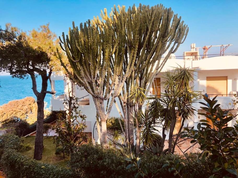 Giardino Mediterraneo Lacco Ameno  Luaran gambar