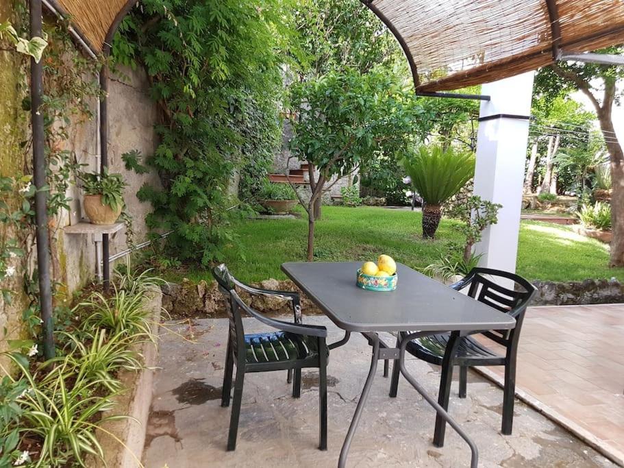Giardino Mediterraneo Lacco Ameno  Luaran gambar