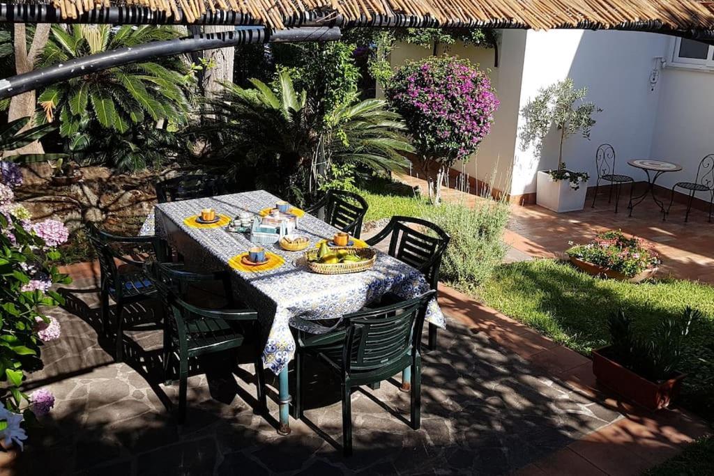 Giardino Mediterraneo Lacco Ameno  Luaran gambar