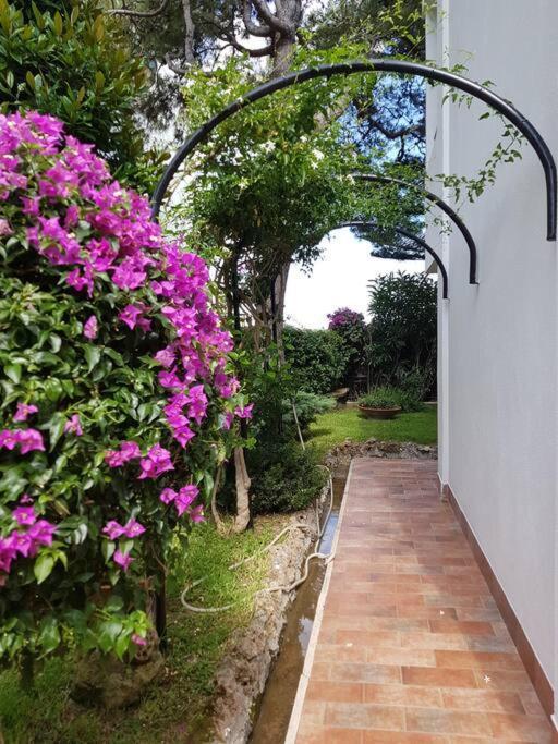Giardino Mediterraneo Lacco Ameno  Luaran gambar