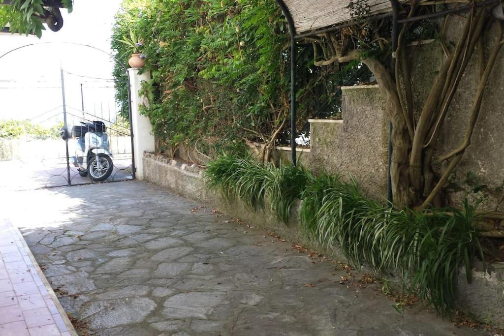Giardino Mediterraneo Lacco Ameno  Luaran gambar